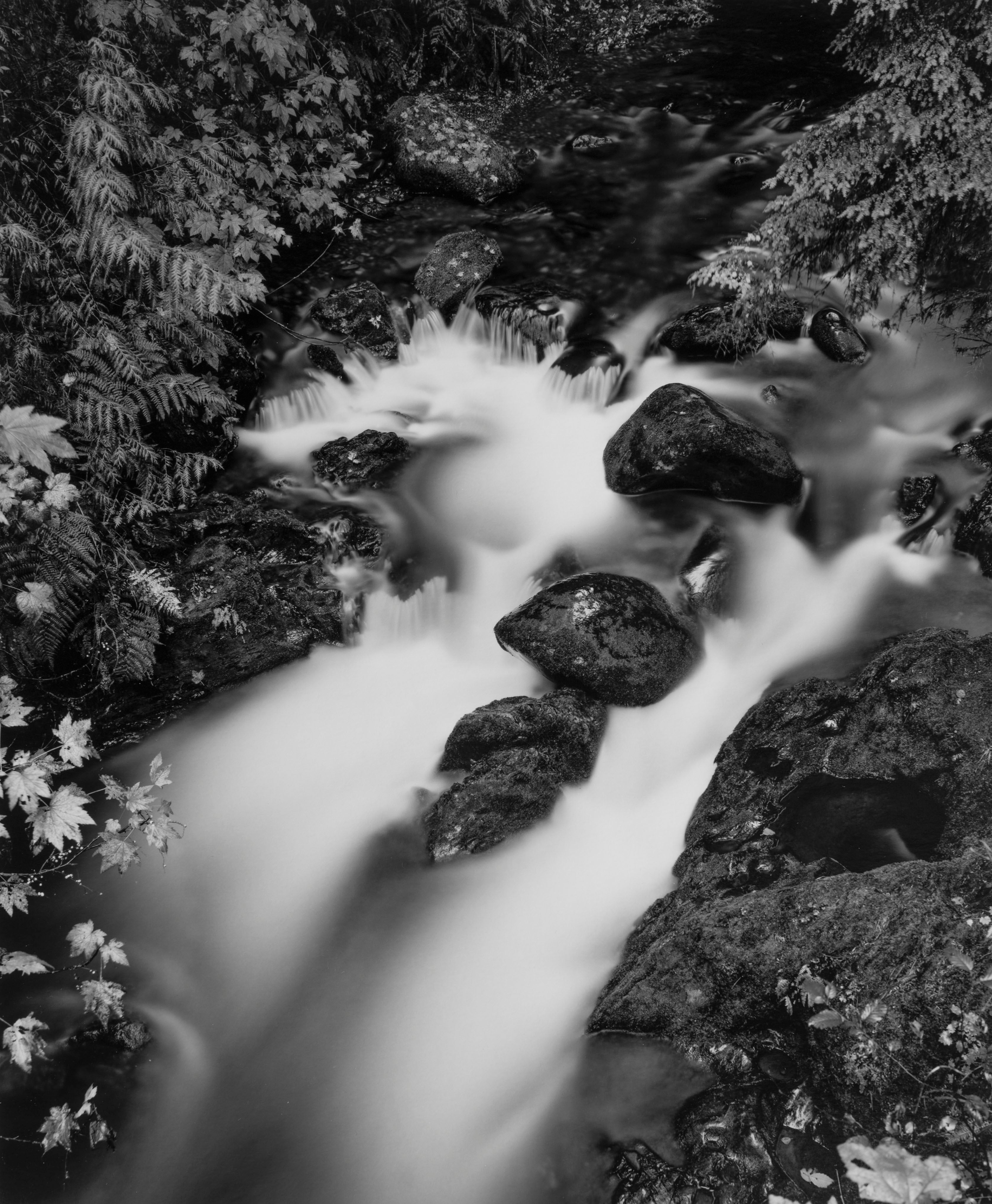 Rainy Cascade, Olympic National Park