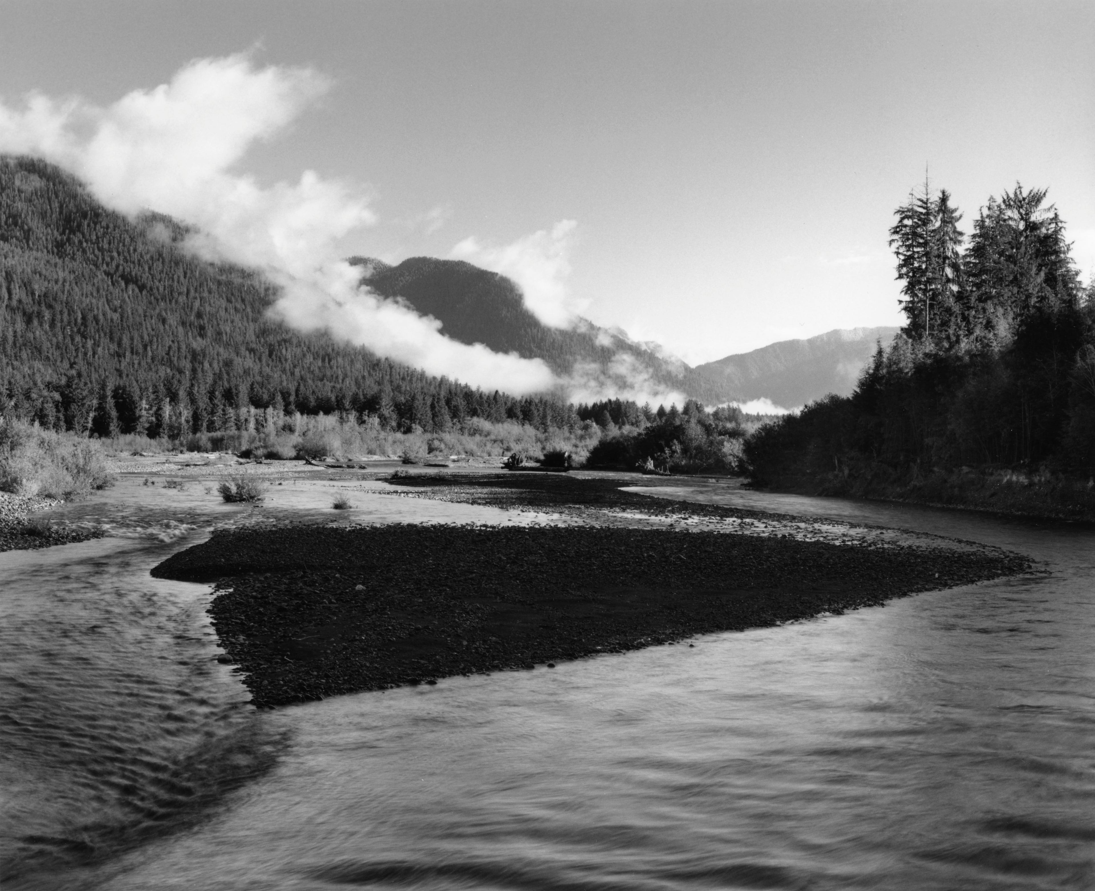 Quinault River Sunrise