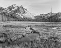 Stanley Lake Marsh and McGowen Peak